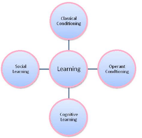 Top Strategies for Implementing the Flipped Classroom Model: Enhance Engagement and Learning Outcomes